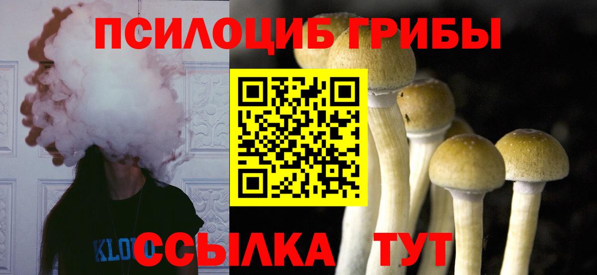 Псилоцибиновые грибы GOLDEN TEACHER Когалым